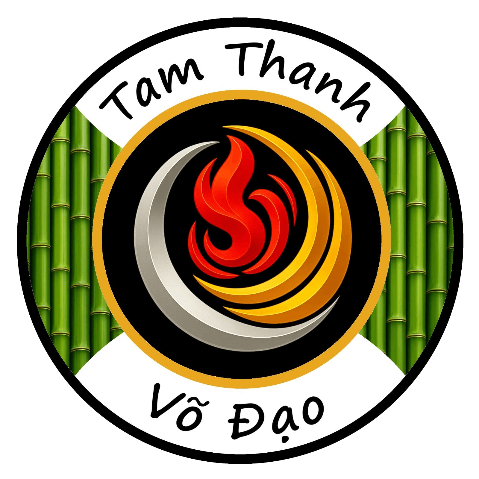 Tam Thanh Vo Dao